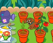 Dora's magical garden online jtk